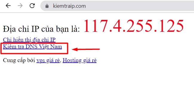 Check IP domain qua website kiemtraIP