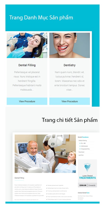 Thiết kế website hàng đầu tại Hà Nội