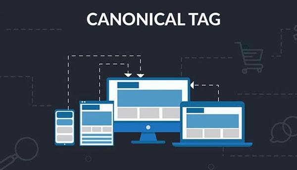 Canonical là gì - Hướng dẫn sử dụng thẻ Canonical chuẩn SEO