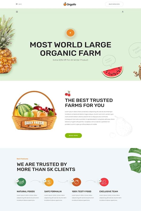Orgafe – Mẫu Website Thực phẩm hữu cơ