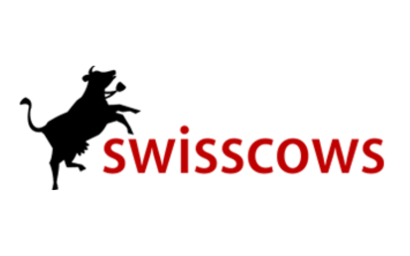 Công cụ tìm kiếm Swisscows