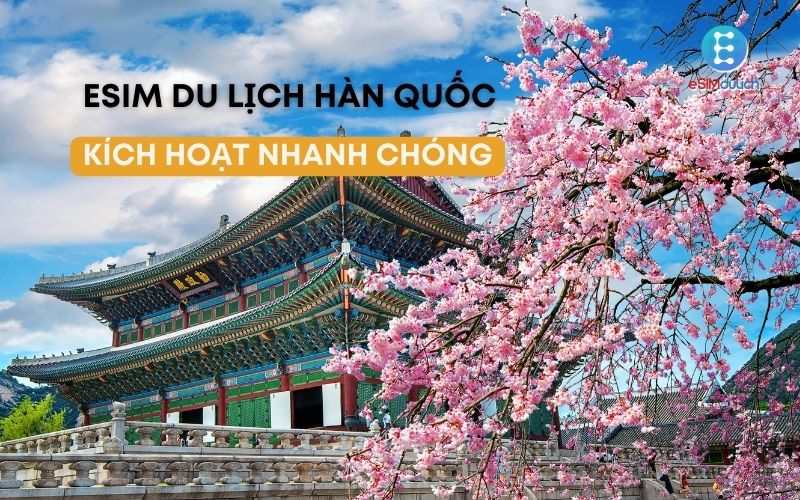 Tại sao chọn eSIM khi đến Hàn Quốc?