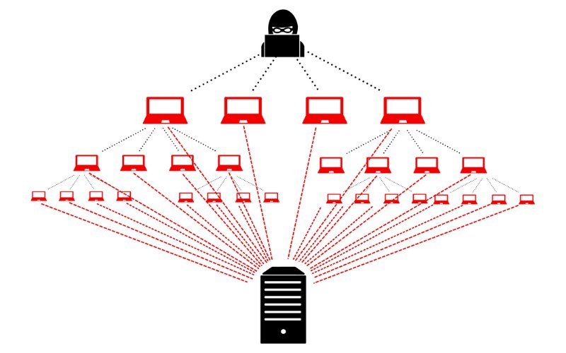 kiểm tra website bị DDoS