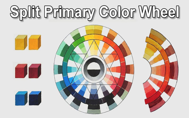 Mau sac trong thiet ke website - Primary color