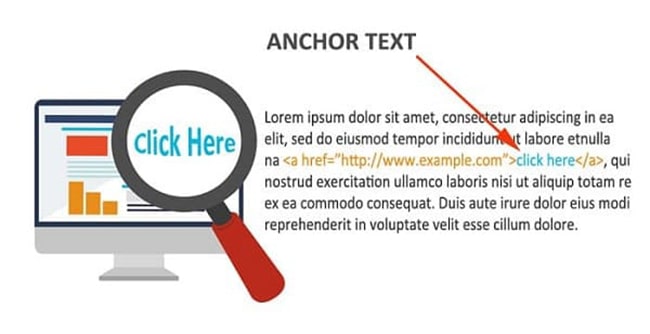 Check anchor text 