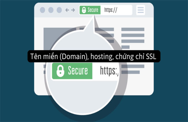 đảm bảo yếu tố tên miền, hosting, SSL trong SEO