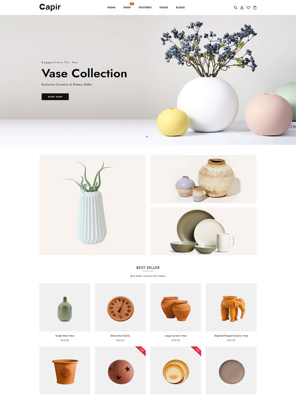 Mẫu thiết kế website bán đồ gốm sứ